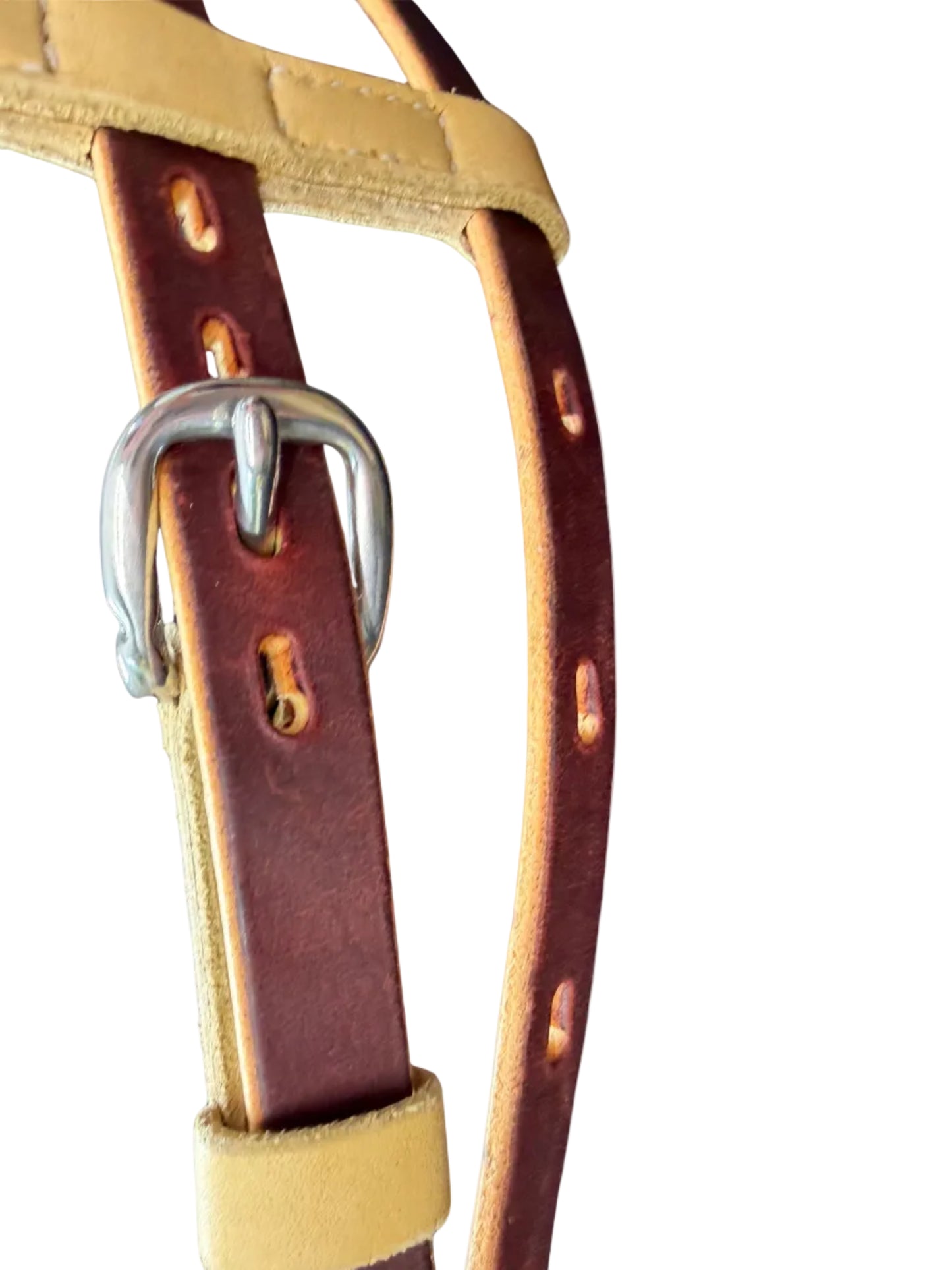 Leson Lifetime Tack Browband Headstall